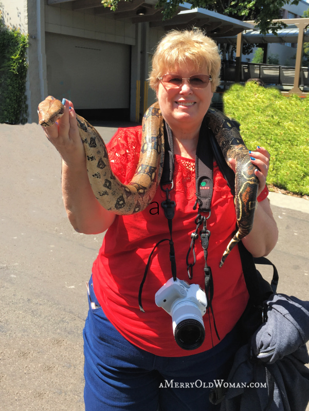 Merry holding a Boa snake